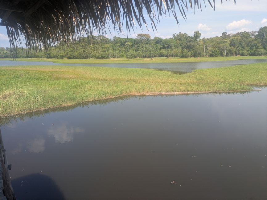 Rio Negro + Rio Solimões gleich  Amazonas