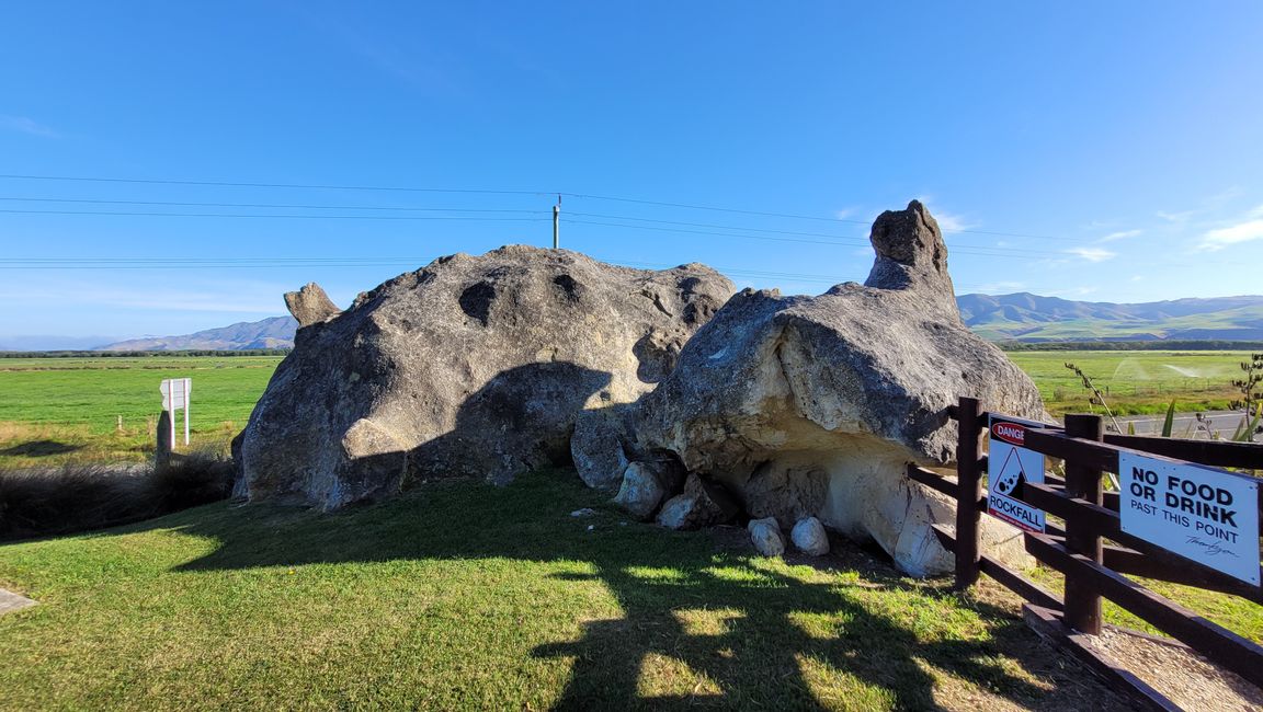 29.Januar-27.Februar 2025 Neuseeland
5.Februar