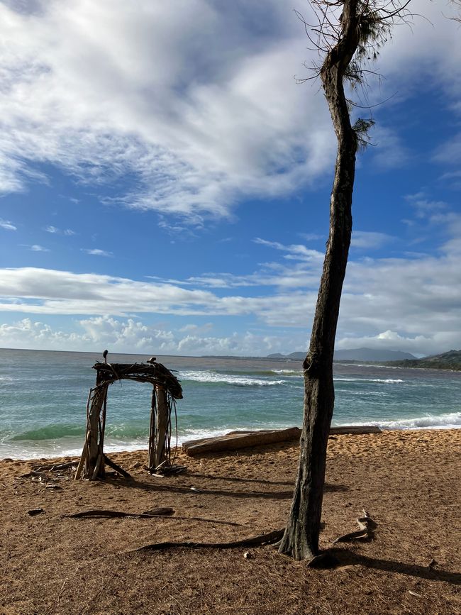 D 20 - 7am Yoga, oceanfront bfast at LavaLava, more running and a nice swim in a pool all to myself 