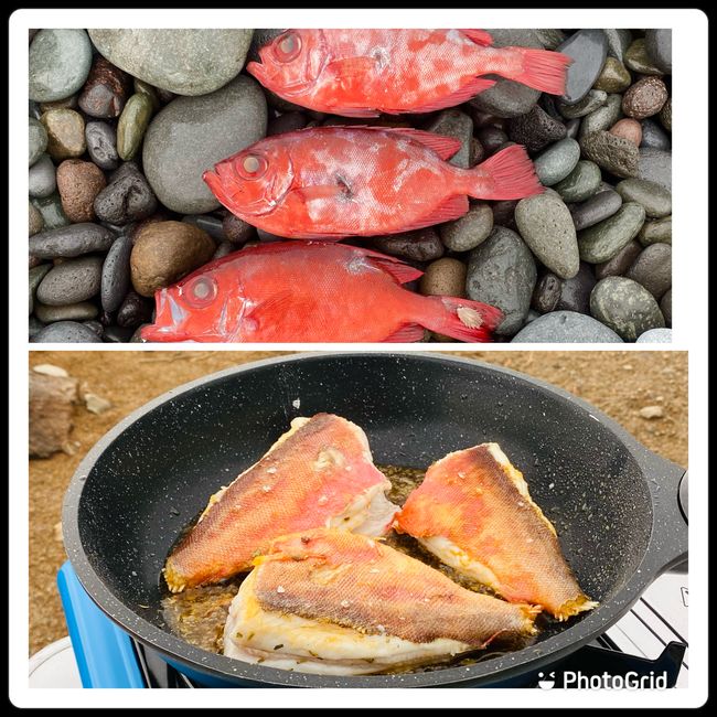 Frischer Fisch gleich auf dem Tisch