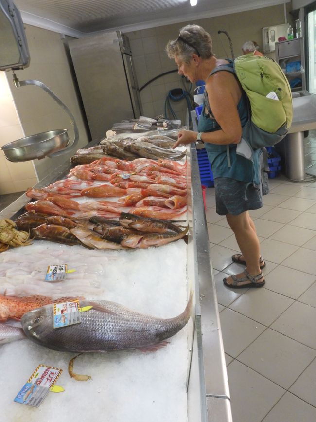 Kleiner Fischstand