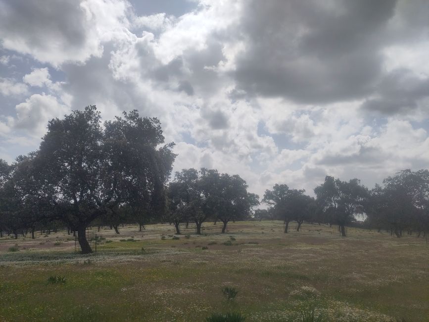 fürs Wandern sind Wolken und bedeckter Himmel eigentlich angenehmer als dauerhaft Sonne - wenn sie keinen Regen bringen