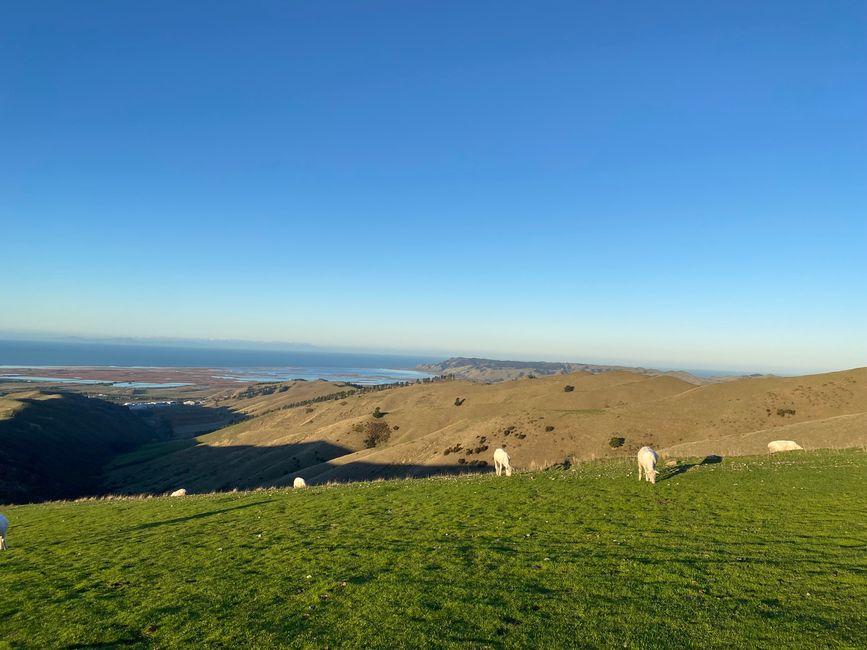 Nelson, Queen Charlotte drive, Picton, Kaikoura, Blenheim