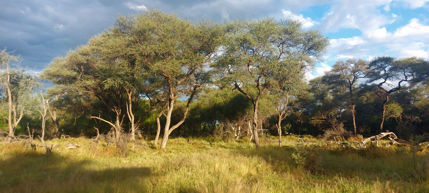 Das Licht in Namibia