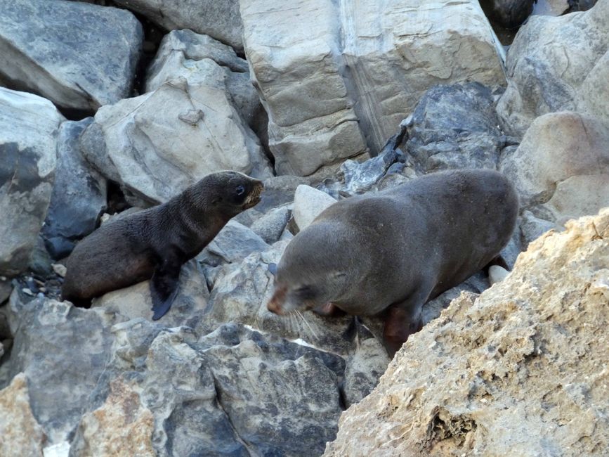 Kangaroo Island