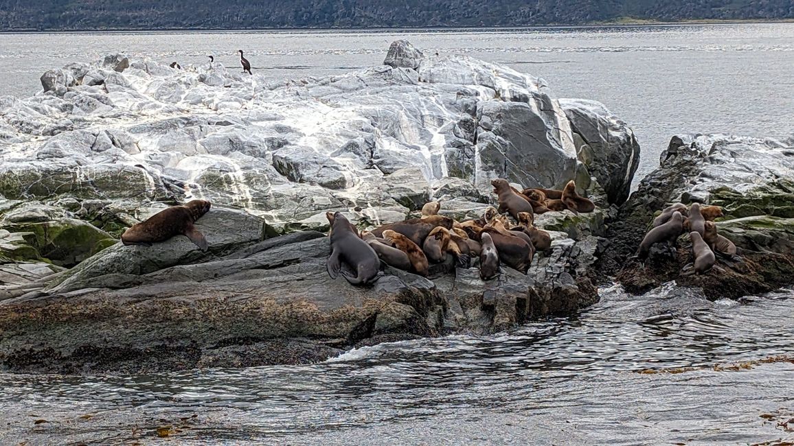Beagle Channel Navigation mit Patagonia Adventure Explorer