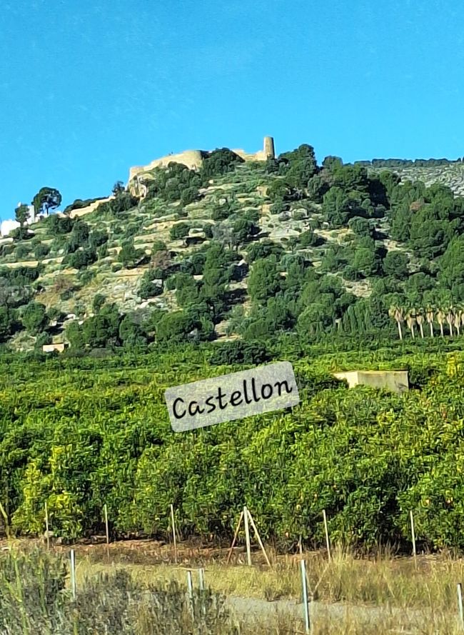 Das Castellon 