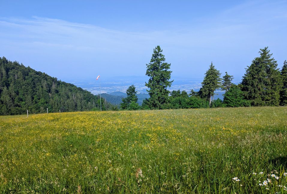 De l'Allgäu à la Forêt Noire