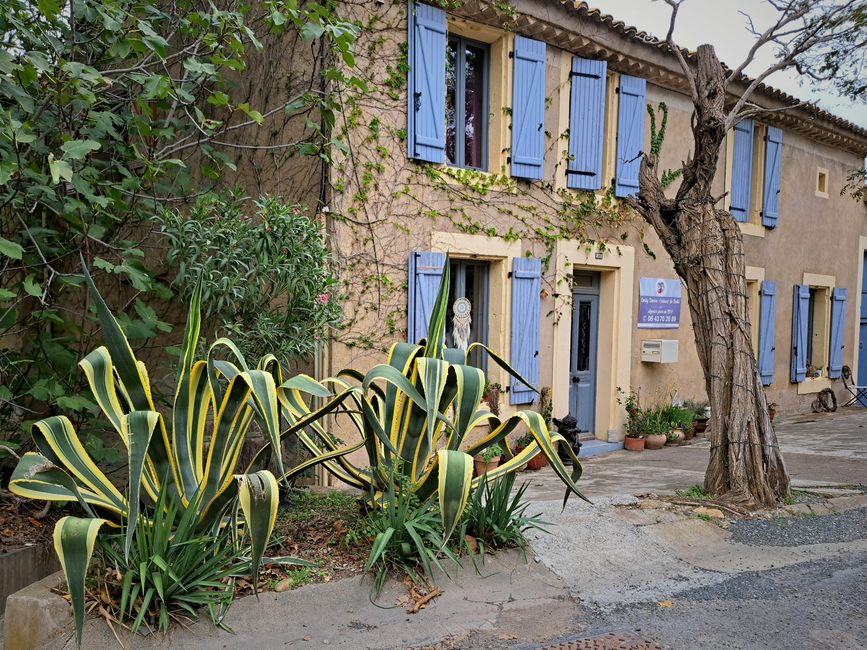 Le Somail 
