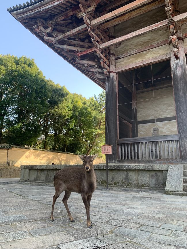 Kyoto