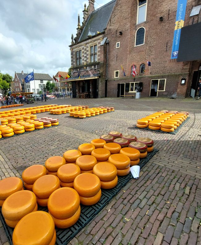 Marché au fromage