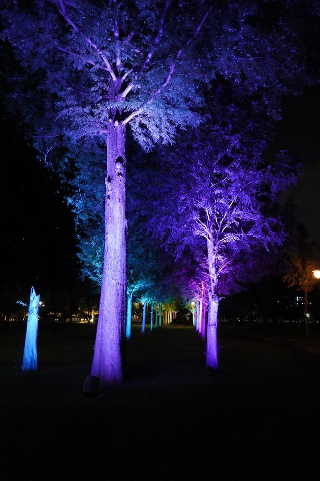 Jardín de luz