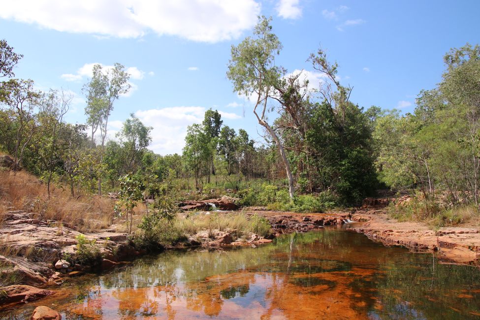 Day 27: On the road in Litchfield National Park