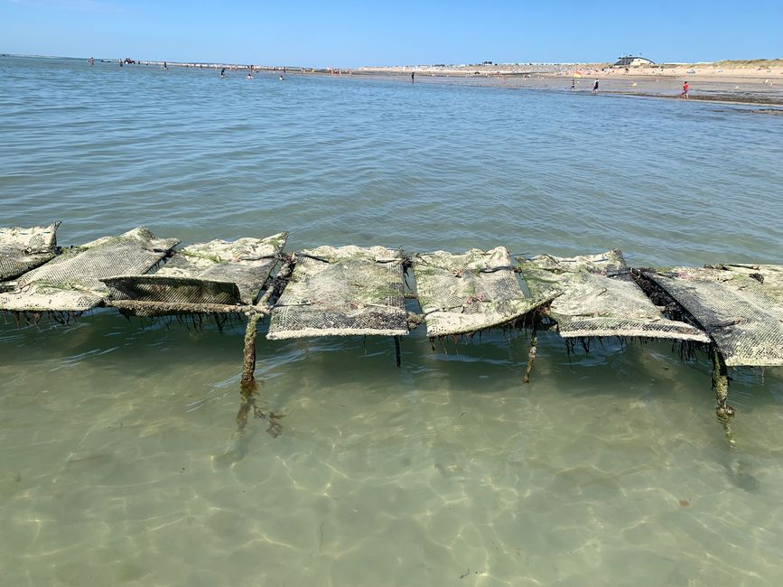 Gouville-sur-mer und die Austernzüchter