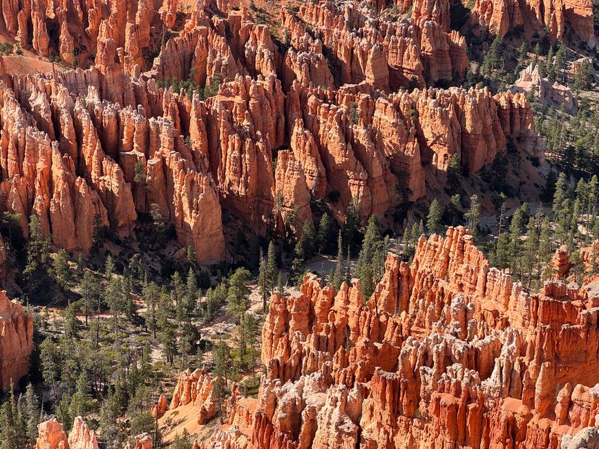 Bryce Canyon 