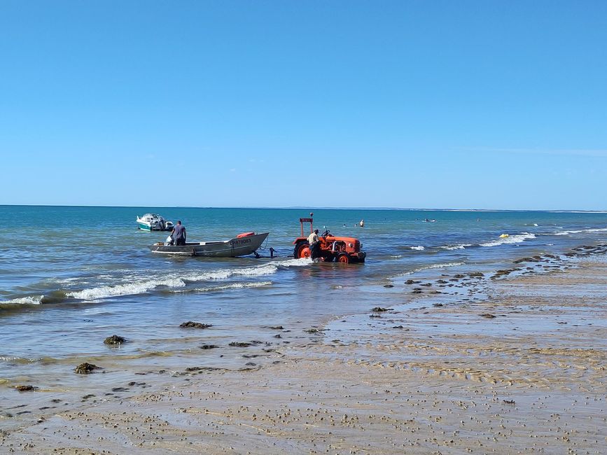 Gouville-sur-mer und die Austernzüchter