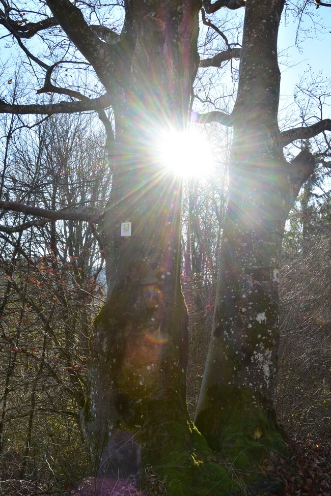 R E I T E R L E S   K A P E L L E - Wallfahrt, Legende und Wanderparadies