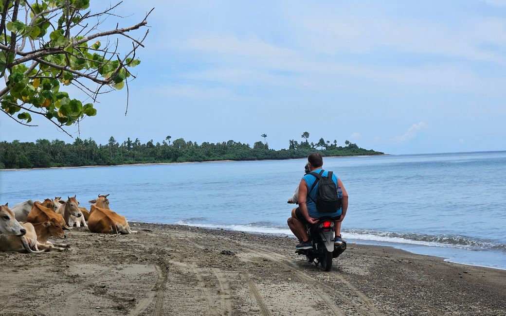 Pulau Unauna