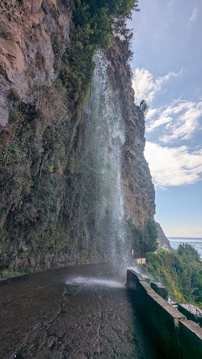 Day 15: The South Coast with Waterfall, Skywalk & Cristo Rei