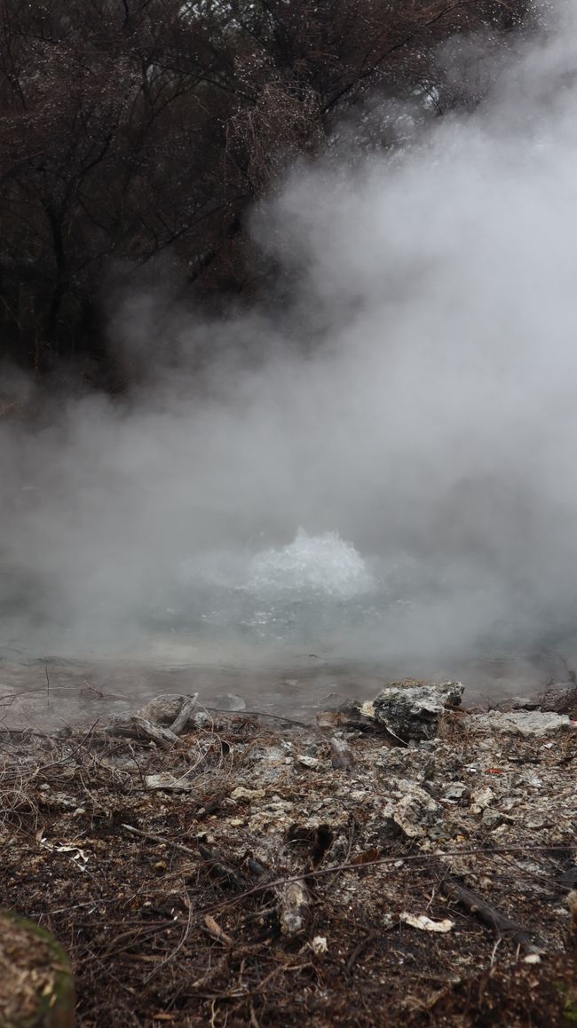 Das heiße Wasser sprudelt aus einer geothermalen Quelle im Kuirau Park