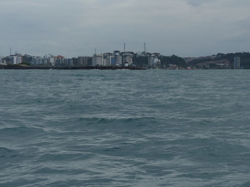 Brazil, Whale Watching