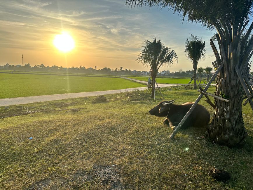 Hoi An 1