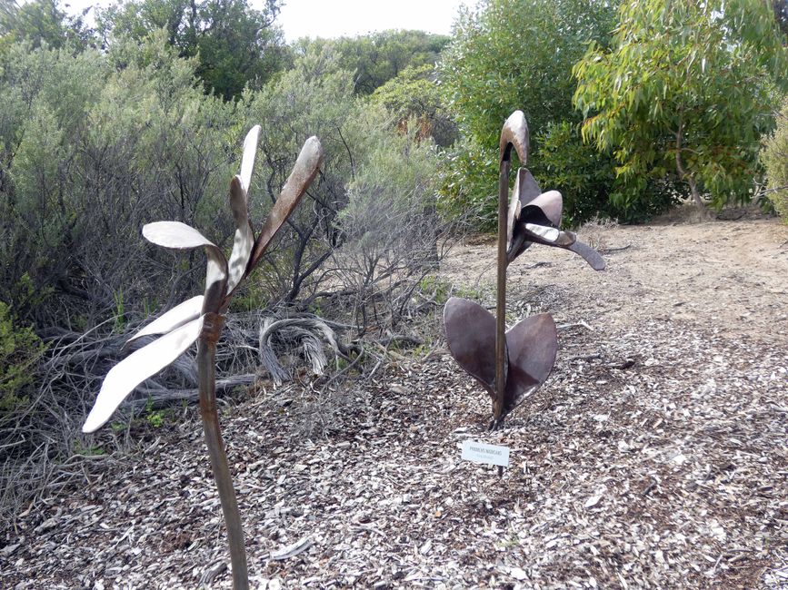 Kingscote - Victor Harbor - Hahndorf