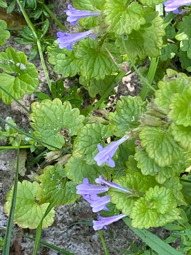 27.05.2024 Montag 