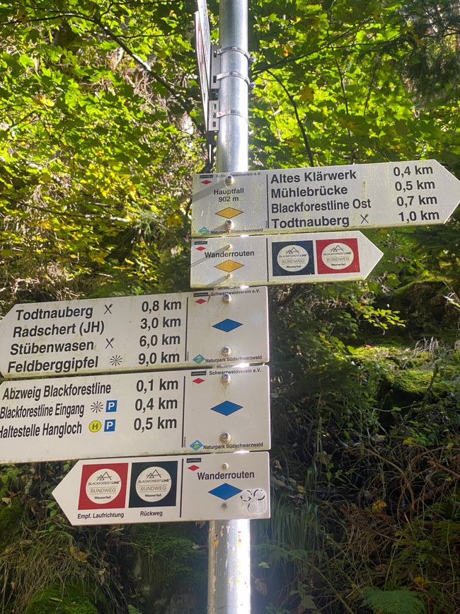 Ein Hinweisschilder-Wald