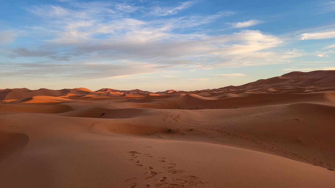 Sahara