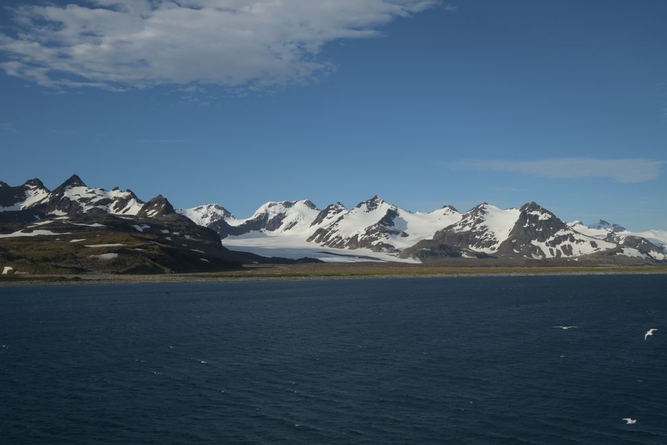 Südgeorgien / South Georgia