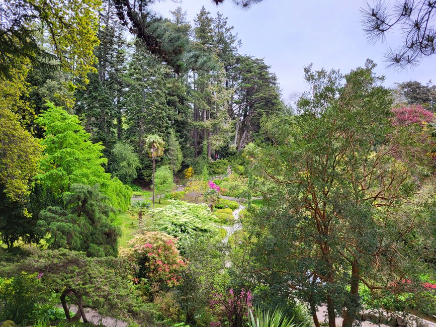 Powerscourt Gardens - Japanischer Garten