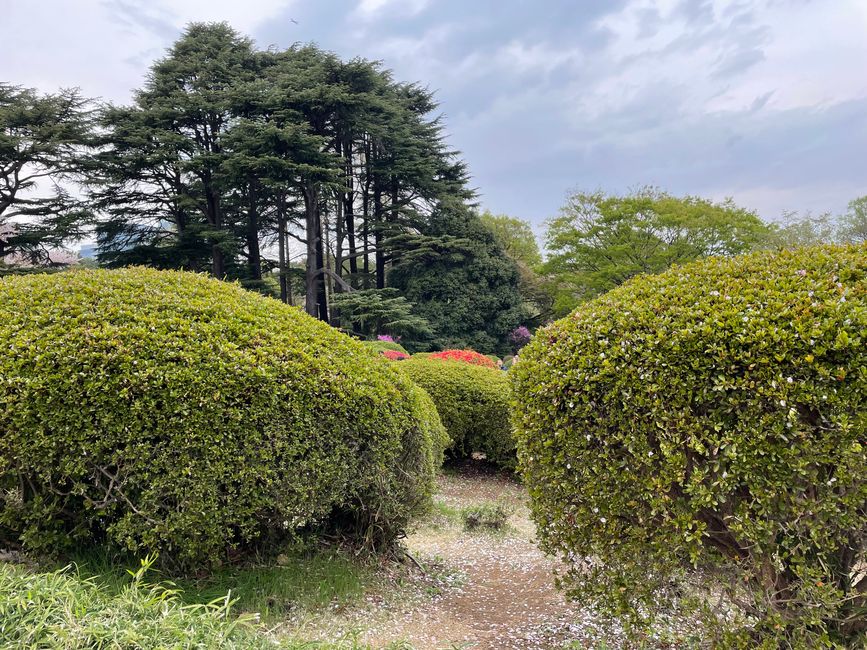 Shinjuku Gyoen Park