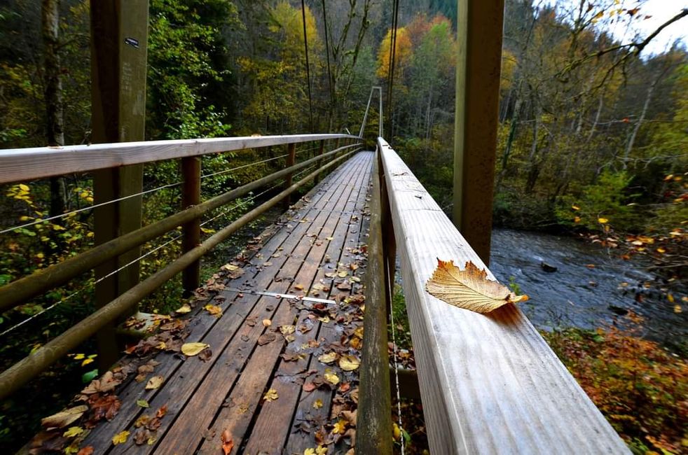 Autumn hiking in the Wutach Gorge: Red, yellow, orange... and you're right in the middle!