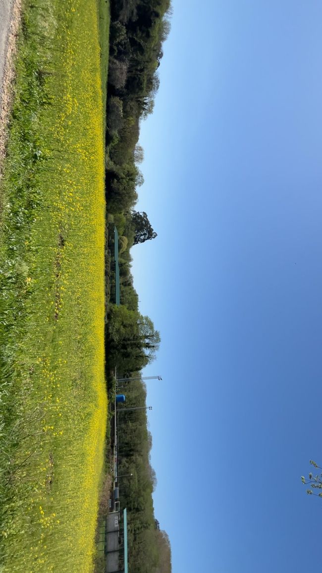 Fene di Neda-Pontedeume