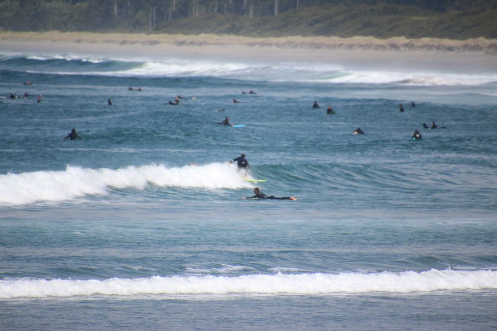 Day 7: Pacific Rim NP - Ucluelet - Tofino