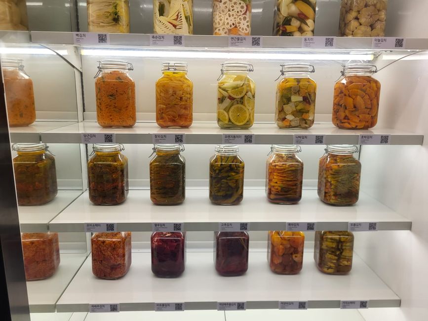 Die Kimchi Variationen