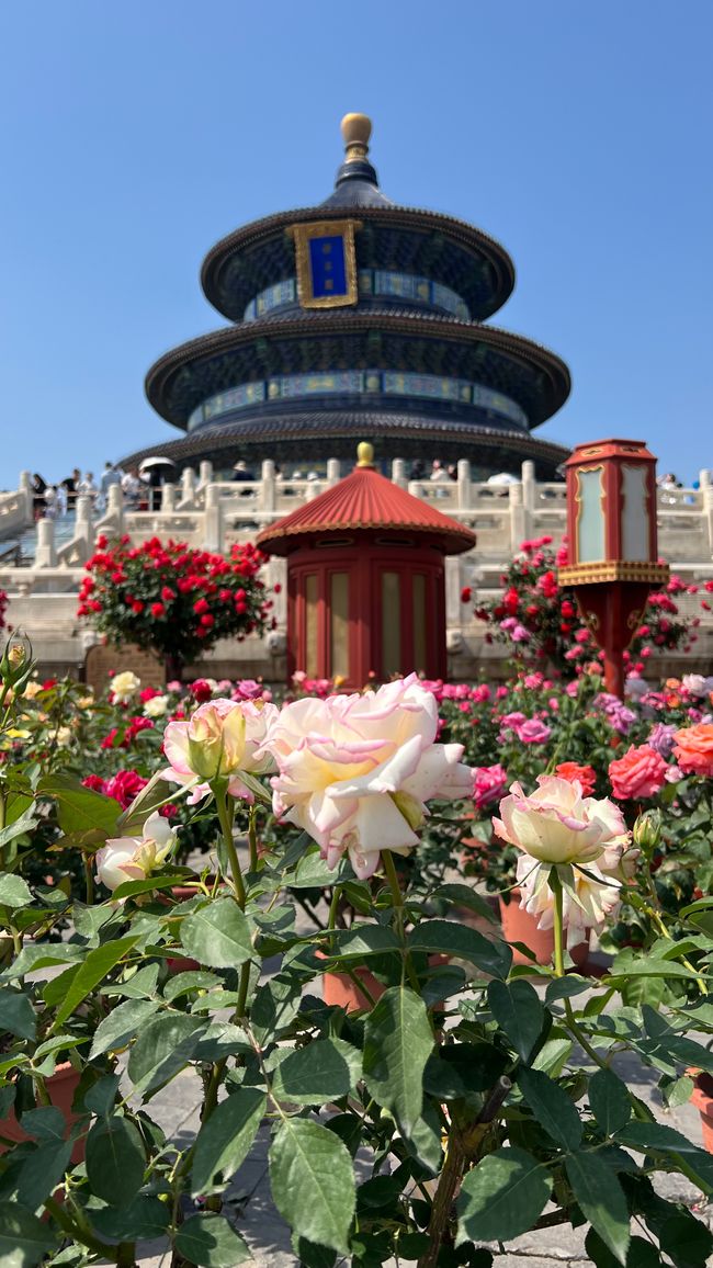 Week 2 - Beijing and the Great Wall, China