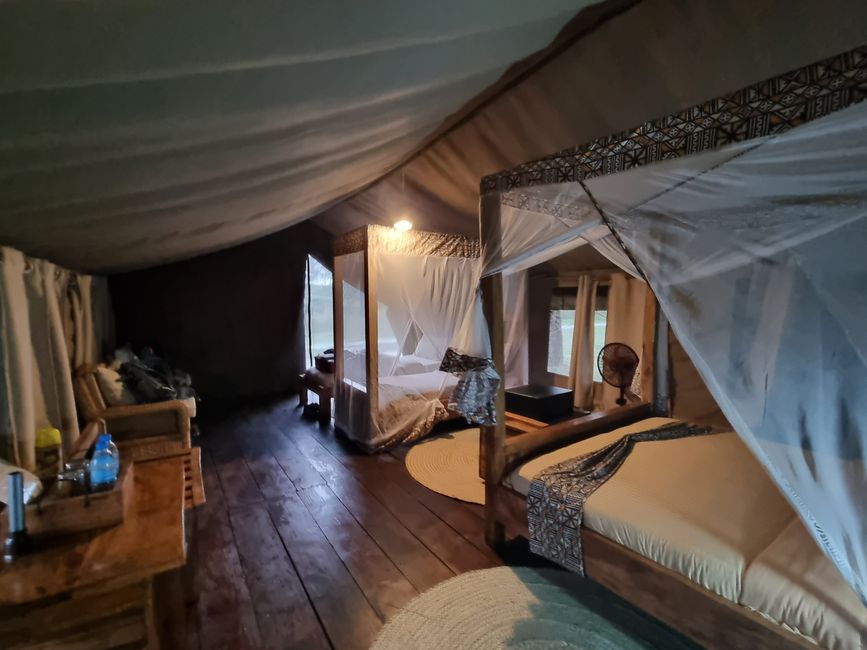 Tansania - Tag 4: Ngorongoro Krater