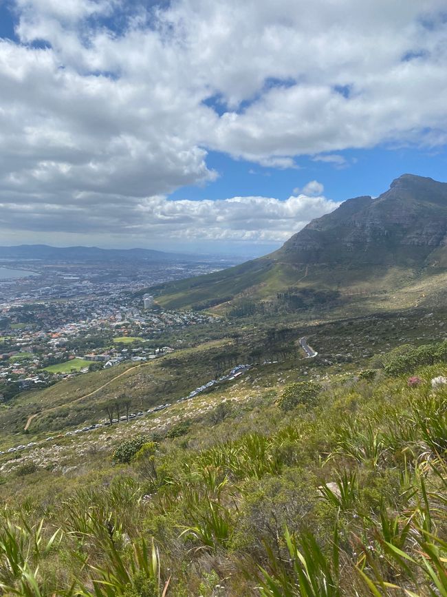 Noch kurz den Tafelberg hoch