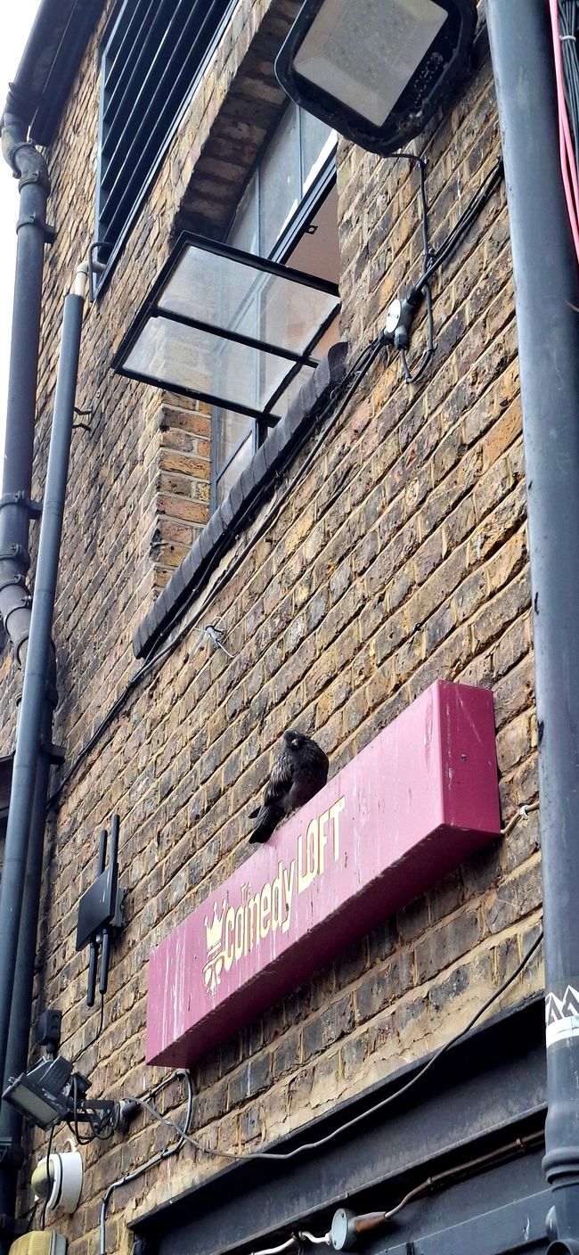 Tag 2 in London