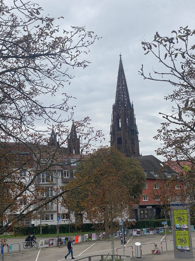 Das Freiburger Münster - aus dieser Perspektive ohne Gerüst und Bauzaun