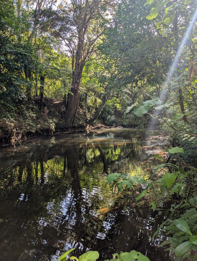 A rainbow doesn't choose to be a rainbow...