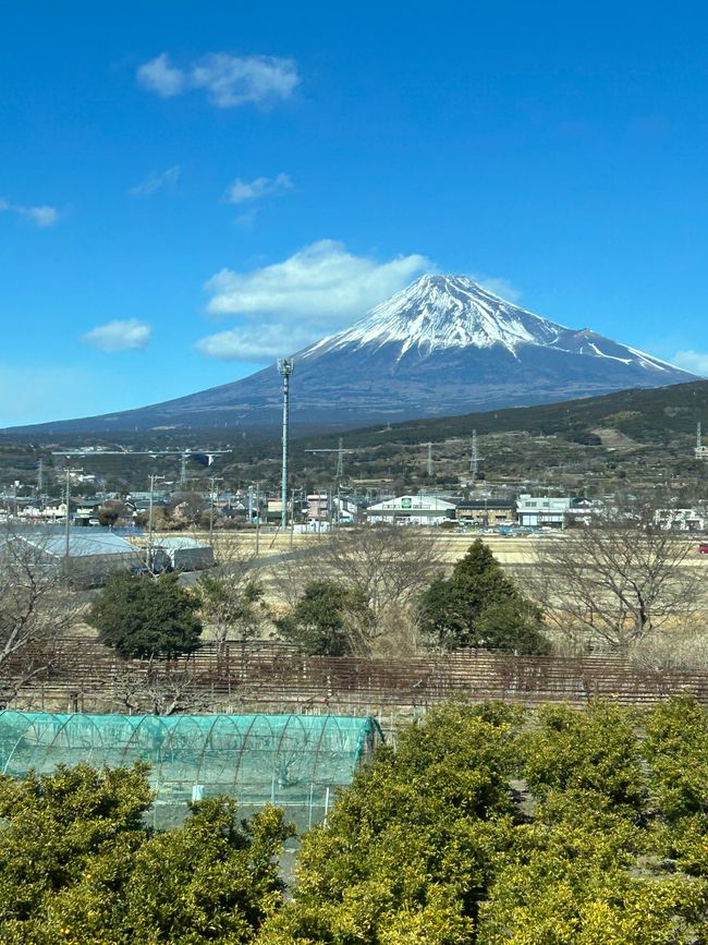 Japonsko a sakury - 12-13. den 