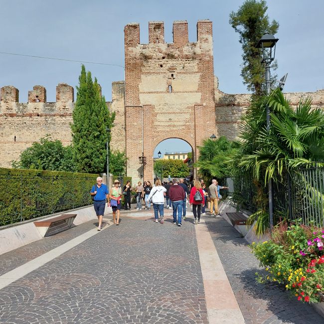 Lazise