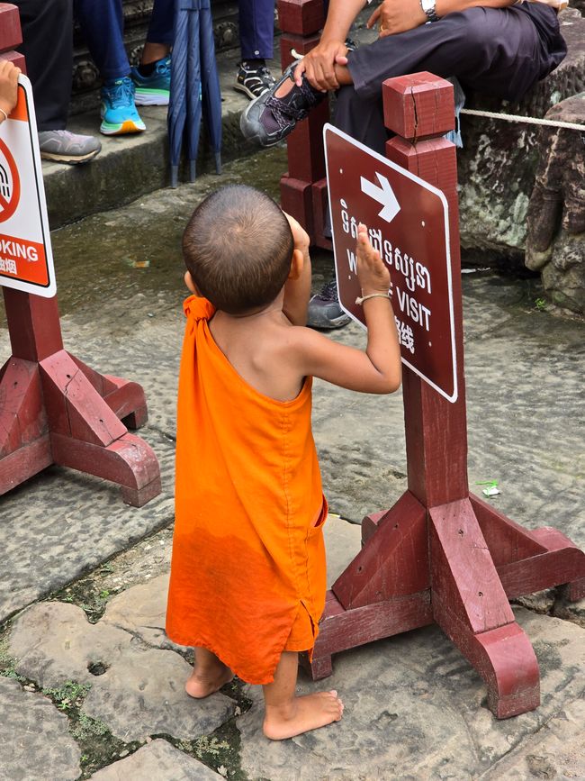Eigentlich ein Rabauke,...