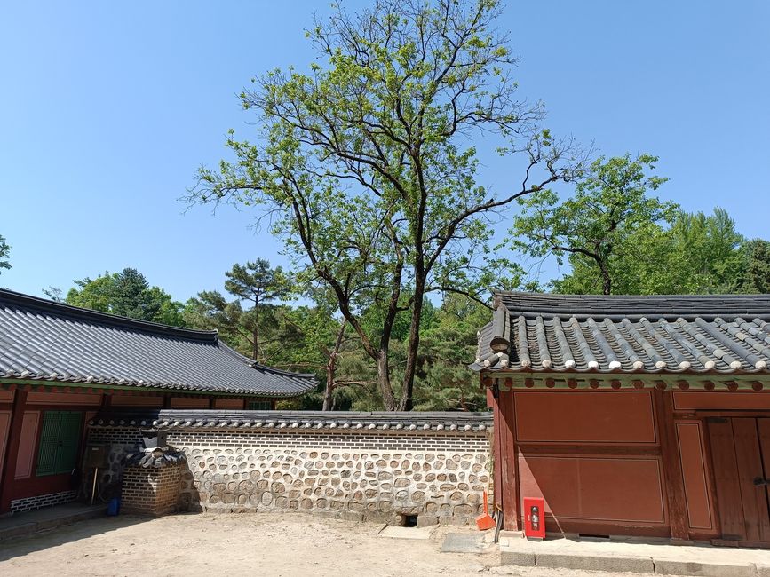 Korea - Let's Go