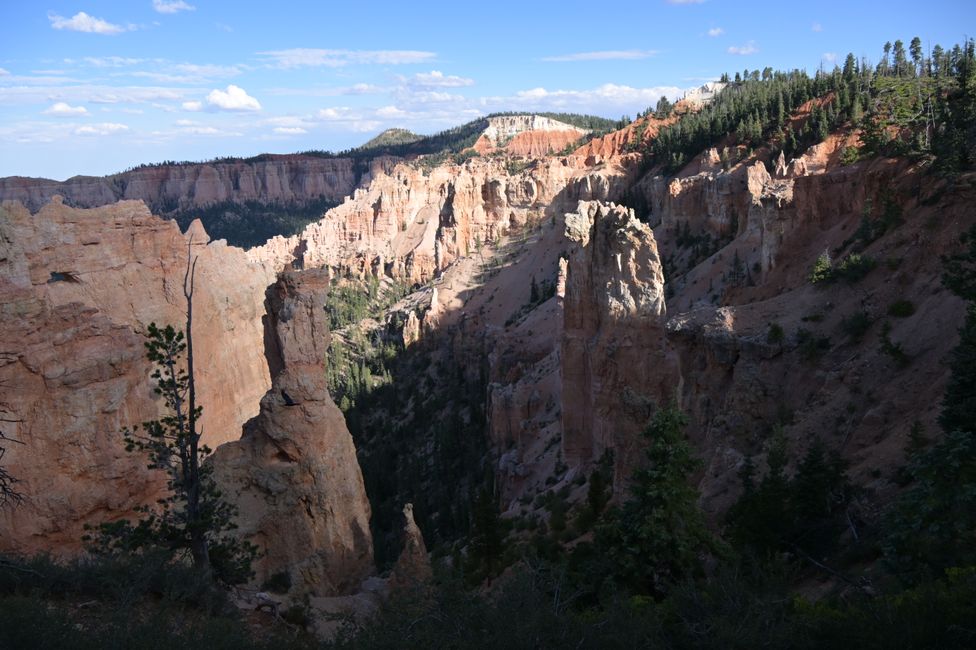Bryce Canyon Rim Viewpoint