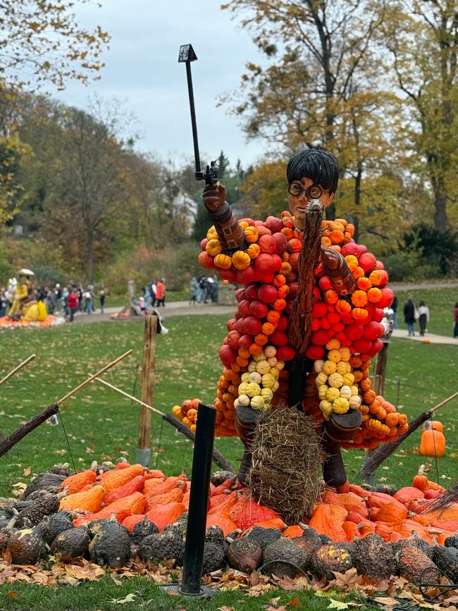 📍 Esposizione di zucche, Ludwigsburg/ 📍 Pumpkin exhibition, Ludwigsburg