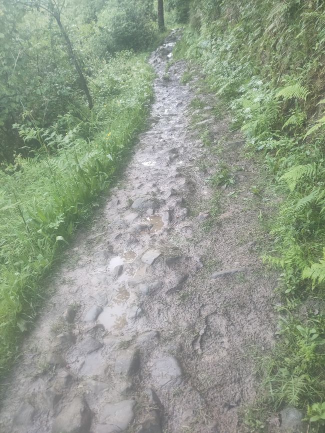 ...und die Wege danach...